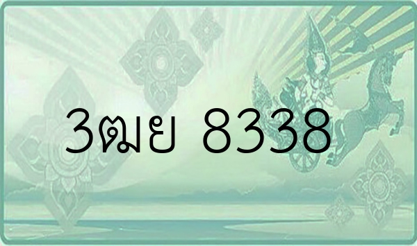 3ฒย 8338